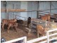 2435 Old Sale Road, Shady Creek VIC 3821