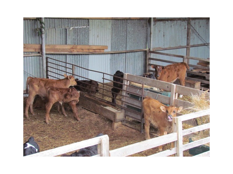 2435 Old Sale Road, Shady Creek VIC 3821