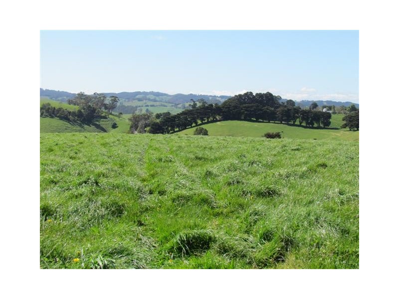 821 Mountain View Road, Mountain View VIC 3988