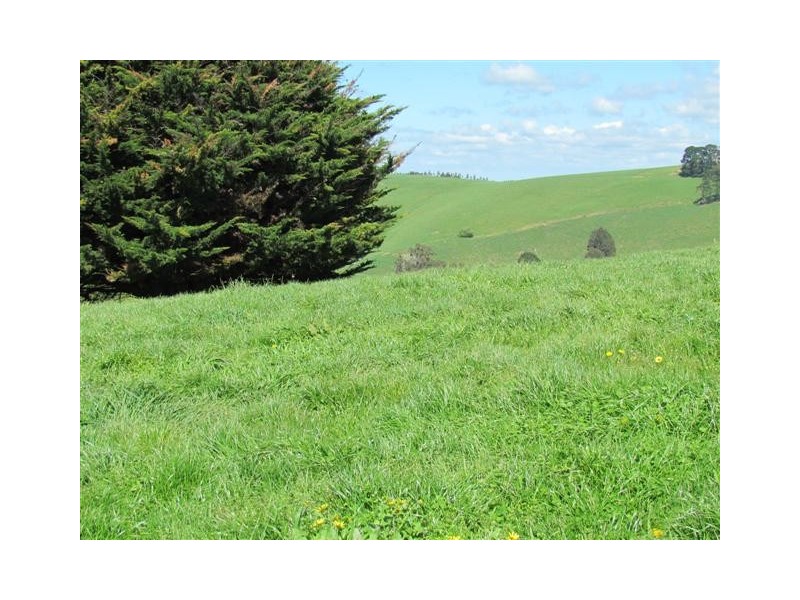 821 Mountain View Road, Mountain View VIC 3988