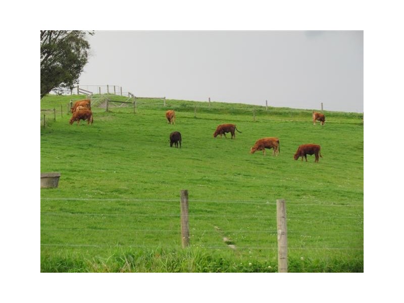 2437 Korumburra – Warragul Road, Warragul South VIC 3821