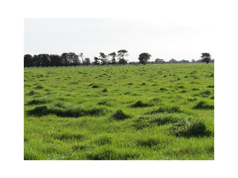 Lot 1/290 Temby Road, Iona VIC 3815