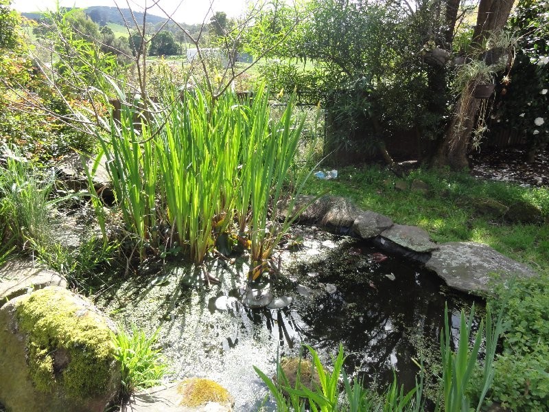 490 Woomera Creek Road, Toora North VIC 3962