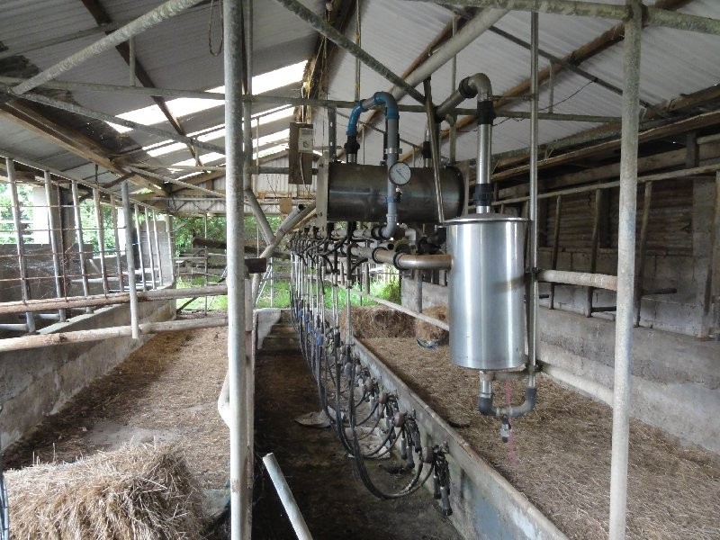 490 Woomera Creek Road, Toora North VIC 3962