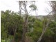 25 Ryans Rise, Sandy Point VIC 3959