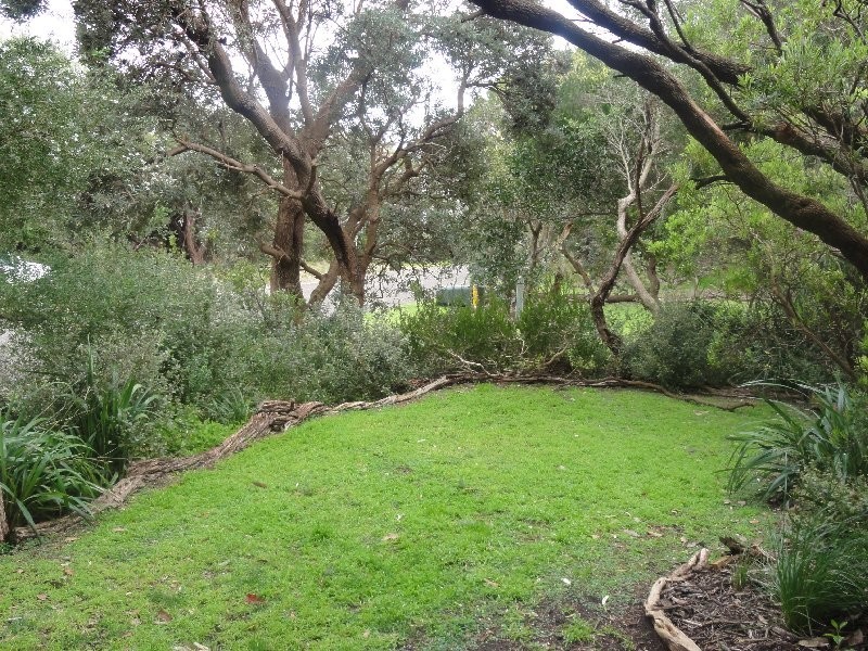 25 Ryans Rise, Sandy Point VIC 3959