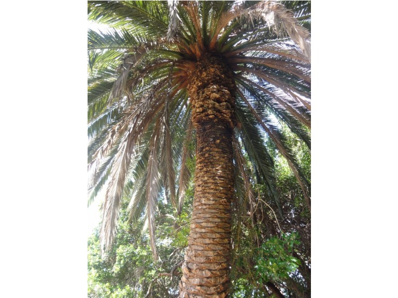 40 Jacksons Road, Foster VIC 3960