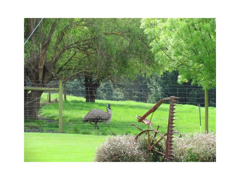 320 Rosatos Road, Coalville VIC 3825