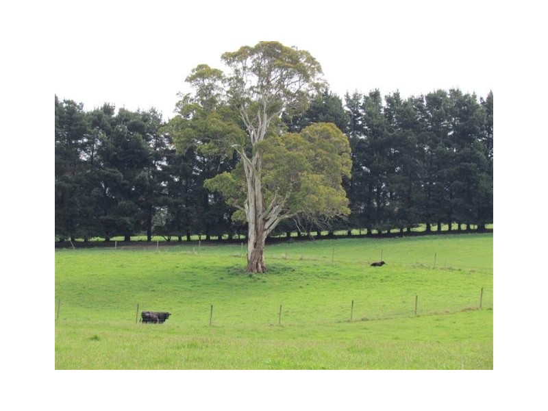 320 Rosatos Road, Coalville VIC 3825