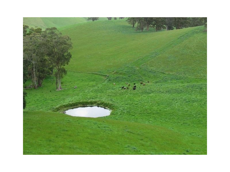 91 Mountain View – McDonalds Track, Mountain View VIC 3988