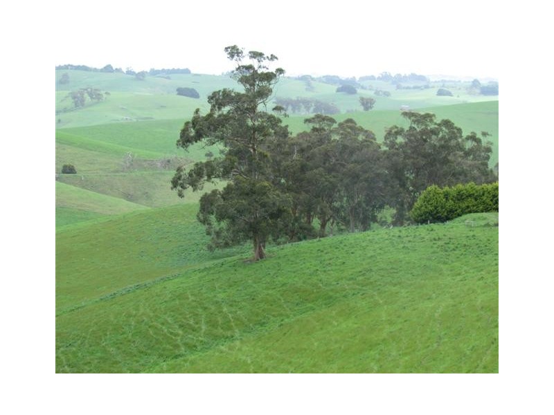 91 Mountain View – McDonalds Track, Mountain View VIC 3988