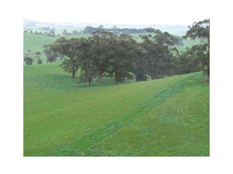 91 Mountain View – McDonalds Track, Mountain View VIC 3988