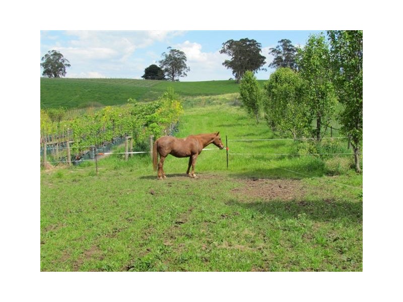 48 McDougal Road, Neerim South VIC 3831