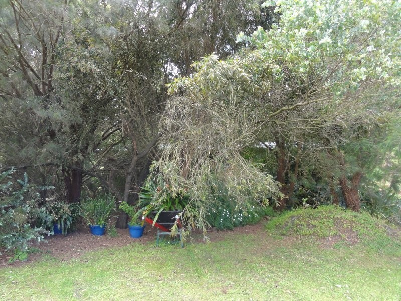 270 Evans Rd, Fish Creek VIC 3959