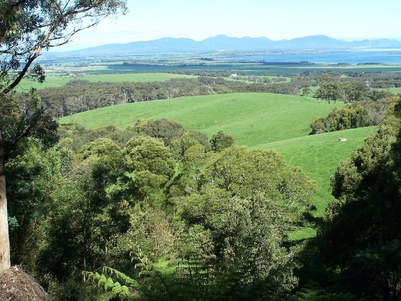 355 Savages Road, Sandy Point VIC 3959