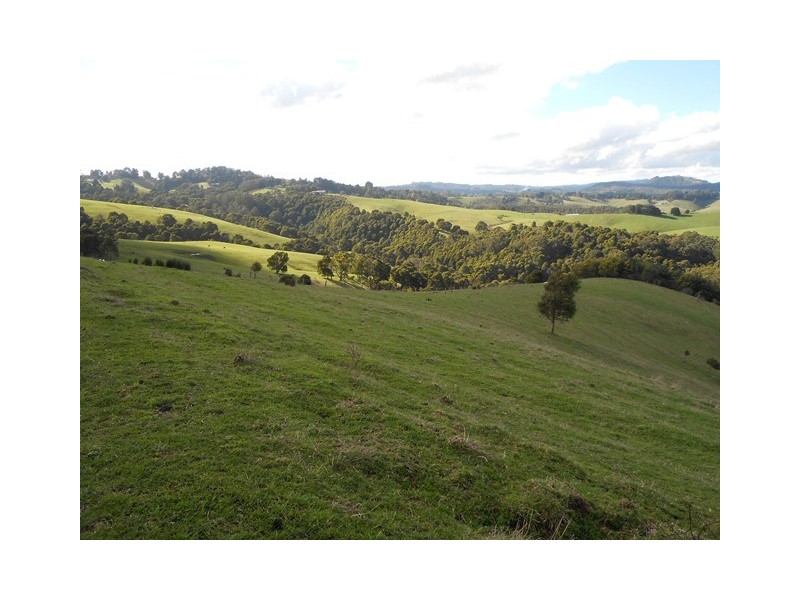 Lot 1 95 Lundstroms Rd, Foster VIC 3960