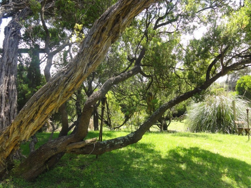 104 Beach Pde, Sandy Point VIC 3959