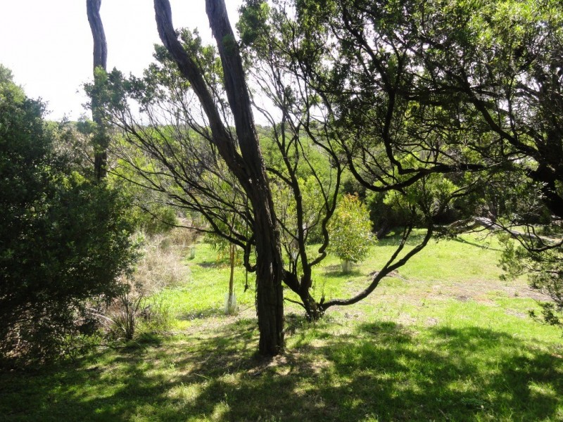 104 Beach Pde, Sandy Point VIC 3959