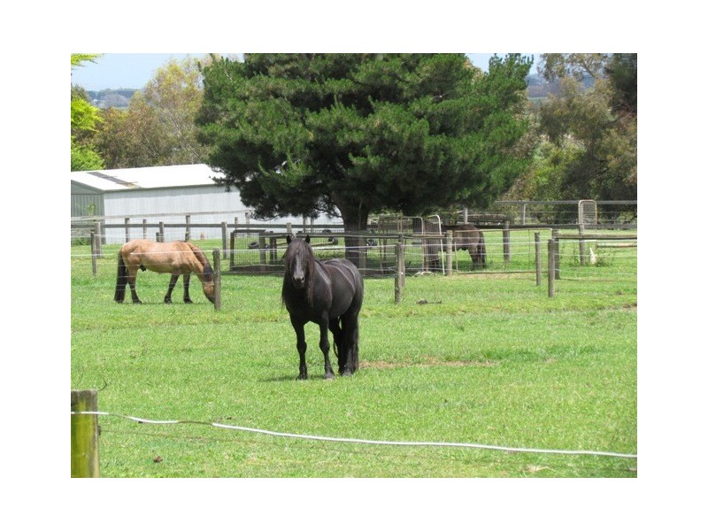 340 Mont Albert Road, Garfield VIC 3814