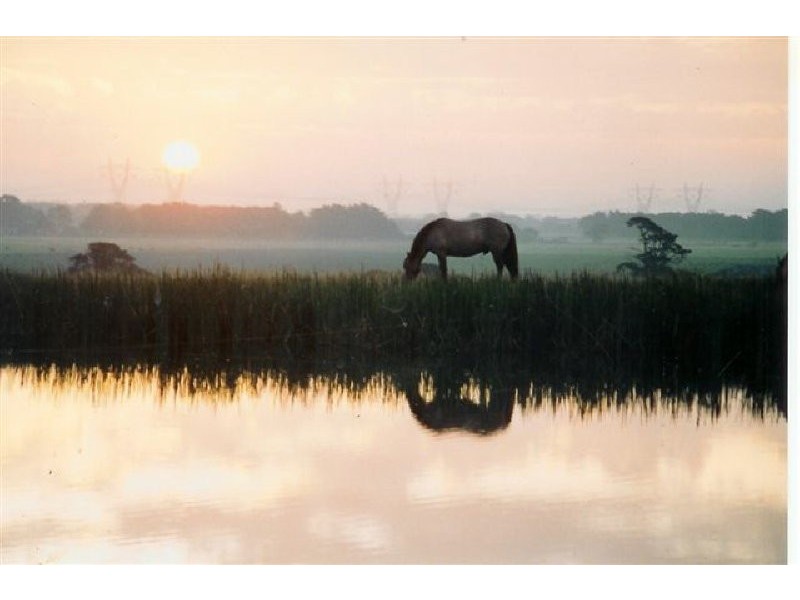 340 Mont Albert Road, Garfield VIC 3814