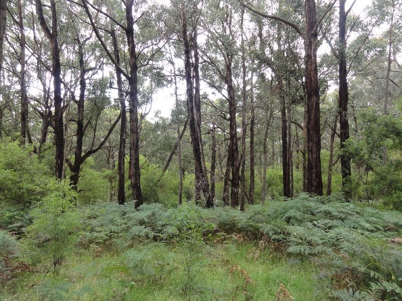 Lot 1 Morgans Rd, Welshpool VIC 3966