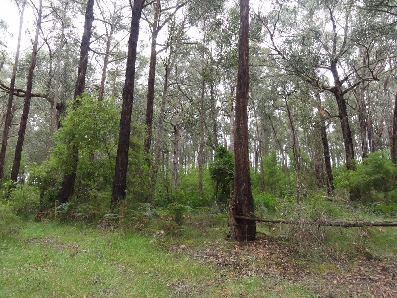 Lot 1 Morgans Rd, Welshpool VIC 3966