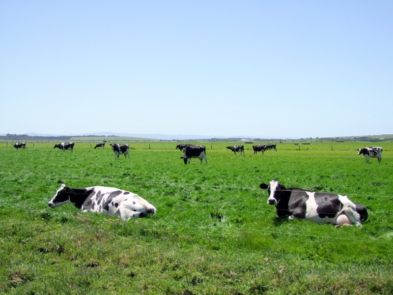 675 Millar Road, Yanakie VIC 3960