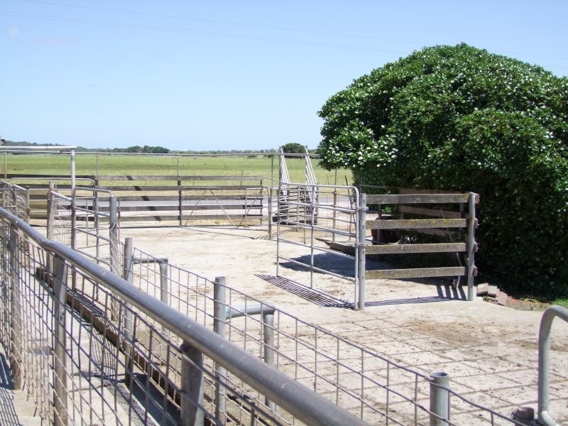 675 Millar Road, Yanakie VIC 3960