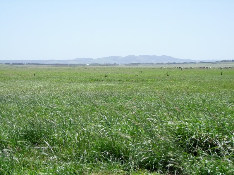 675 Millar Road, Yanakie VIC 3960