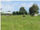 199 Nayook Powelltown Road, Nayook VIC 3832