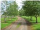 199 Nayook Powelltown Road, Nayook VIC 3832