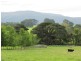 199 Nayook Powelltown Road, Nayook VIC 3832