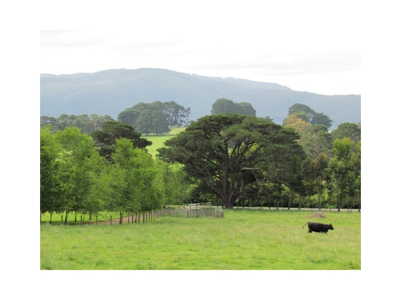 199 Nayook Powelltown Road, Nayook VIC 3832