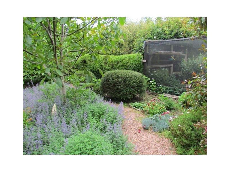 2361 Korumburra- Warragul Road, Tetoora Road VIC 3821