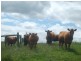 436 Hedley Range Rd, Welshpool VIC 3966