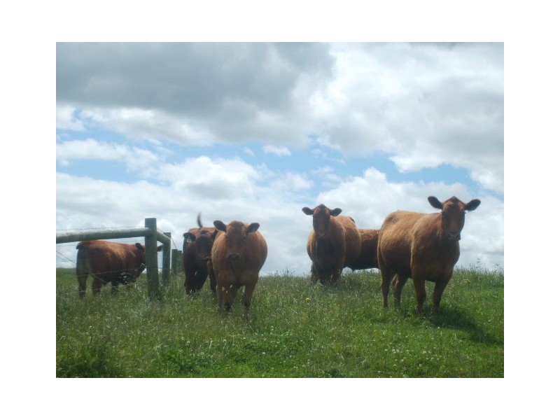 436 Hedley Range Rd, Welshpool VIC 3966