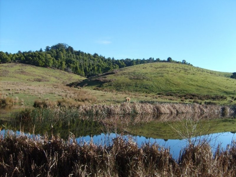 50 Hobson Rd, Foster VIC 3960