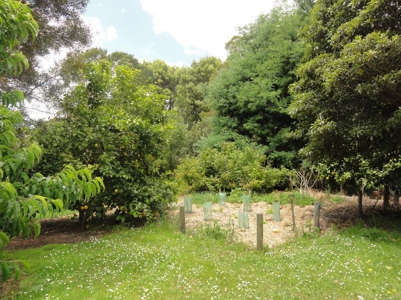 4 Frances Crt, Foster VIC 3960