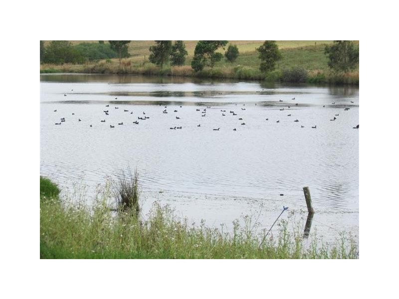 33 Old Sale Road, Warragul VIC 3820