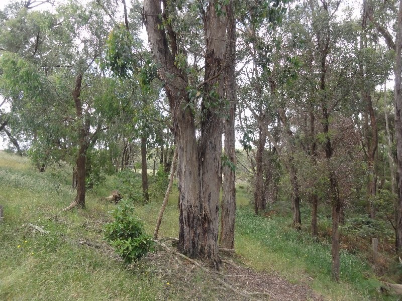 880 Promontory Rd, Foster VIC 3960