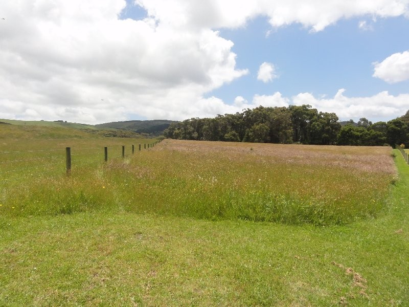 880 Promontory Rd, Foster VIC 3960