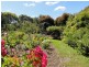 85 Sandy Point Rd, Sandy Point VIC 3959