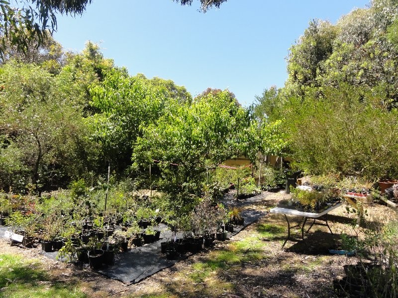 85 Sandy Point Rd, Sandy Point VIC 3959