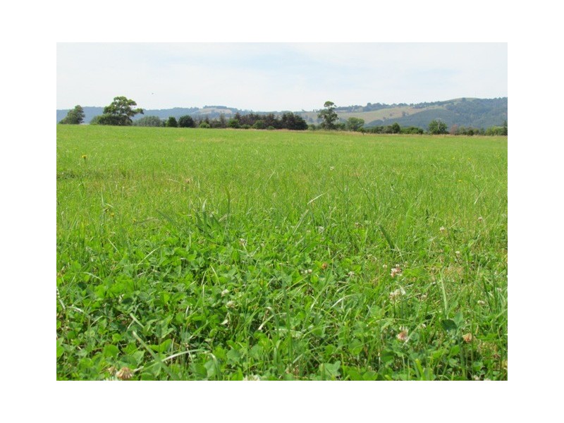 1704 Waterloo Road, Yarragon VIC 3823