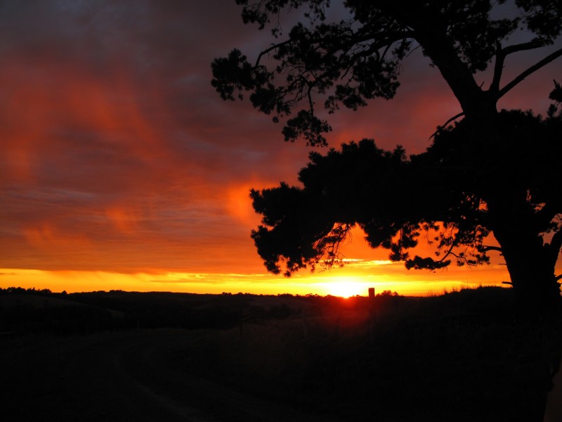 Lot 1 Wallis Ridge Road, Fish Creek VIC 3959