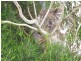 Lot 1 Wallis Ridge Road, Fish Creek VIC 3959