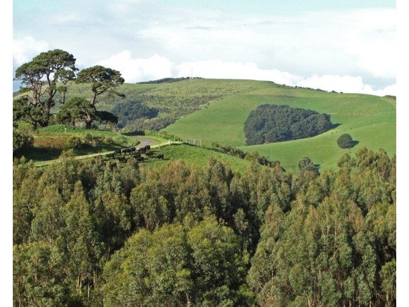 Lot 1 Wallis Ridge Road, Fish Creek VIC 3959