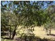 55 Black Swamp Rd, Foster VIC 3960