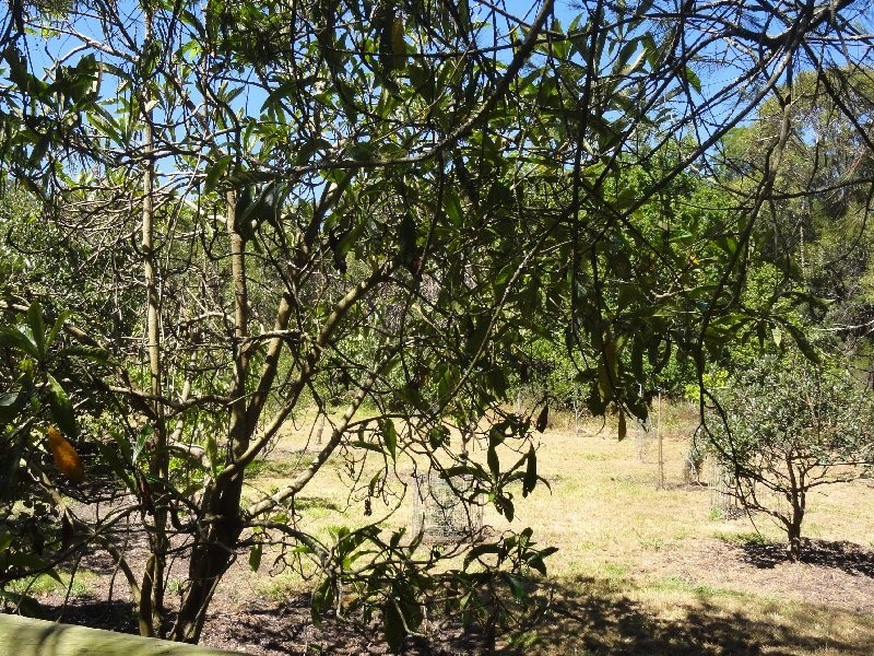 55 Black Swamp Rd, Foster VIC 3960