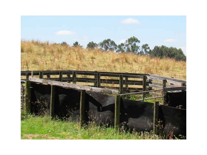 Lots 2 and 4 Grandridge Road, Seaview VIC 3821